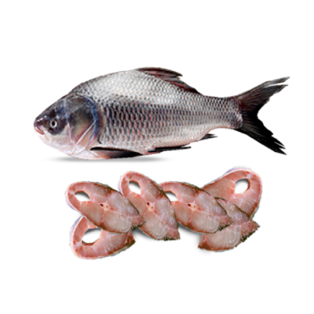 katla-fish